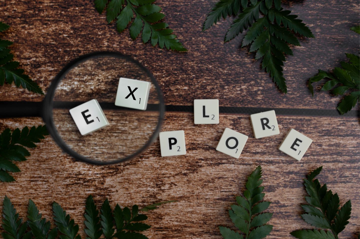 The Best Science News sites  Science Decor
