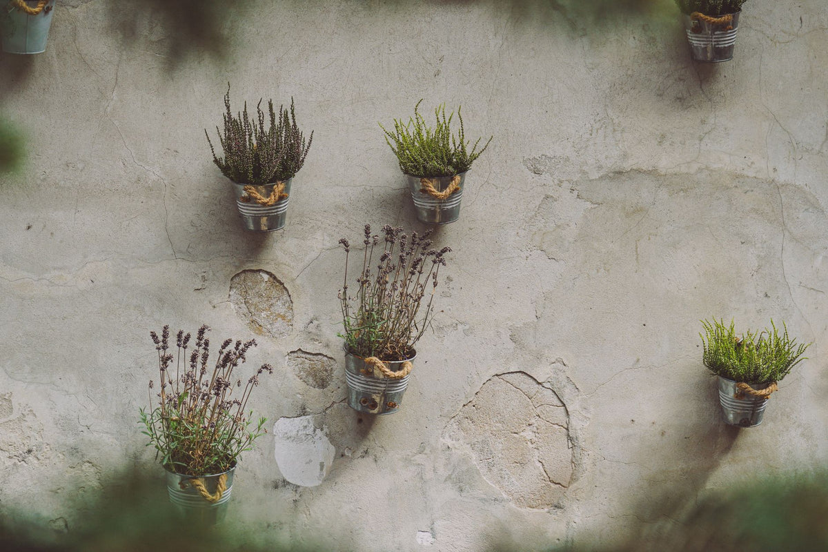 Floating Plant Pot: How to Decorate Your Home with It