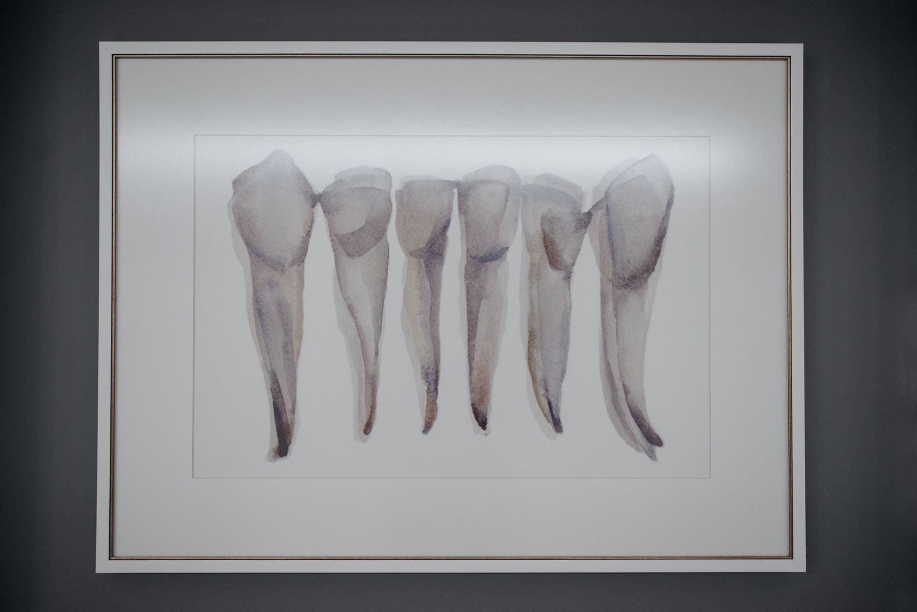 The History of Anatomy Wall Charts: Science Meets Art
