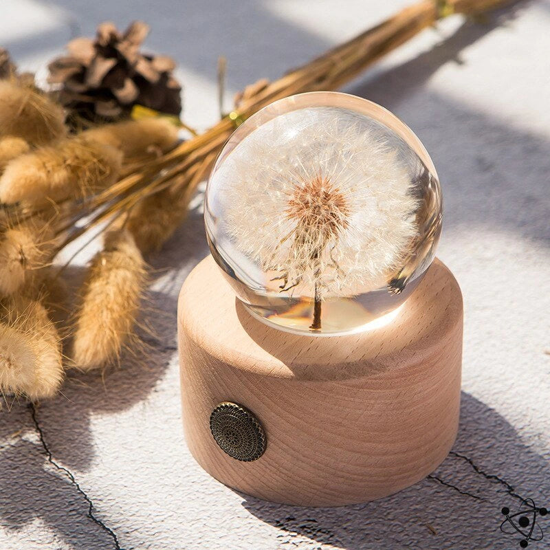 Dandelion Crystal Ball Science Decor
