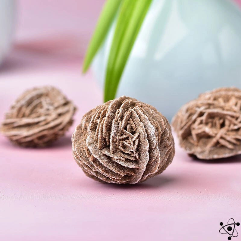 Desert Rose Science Decor