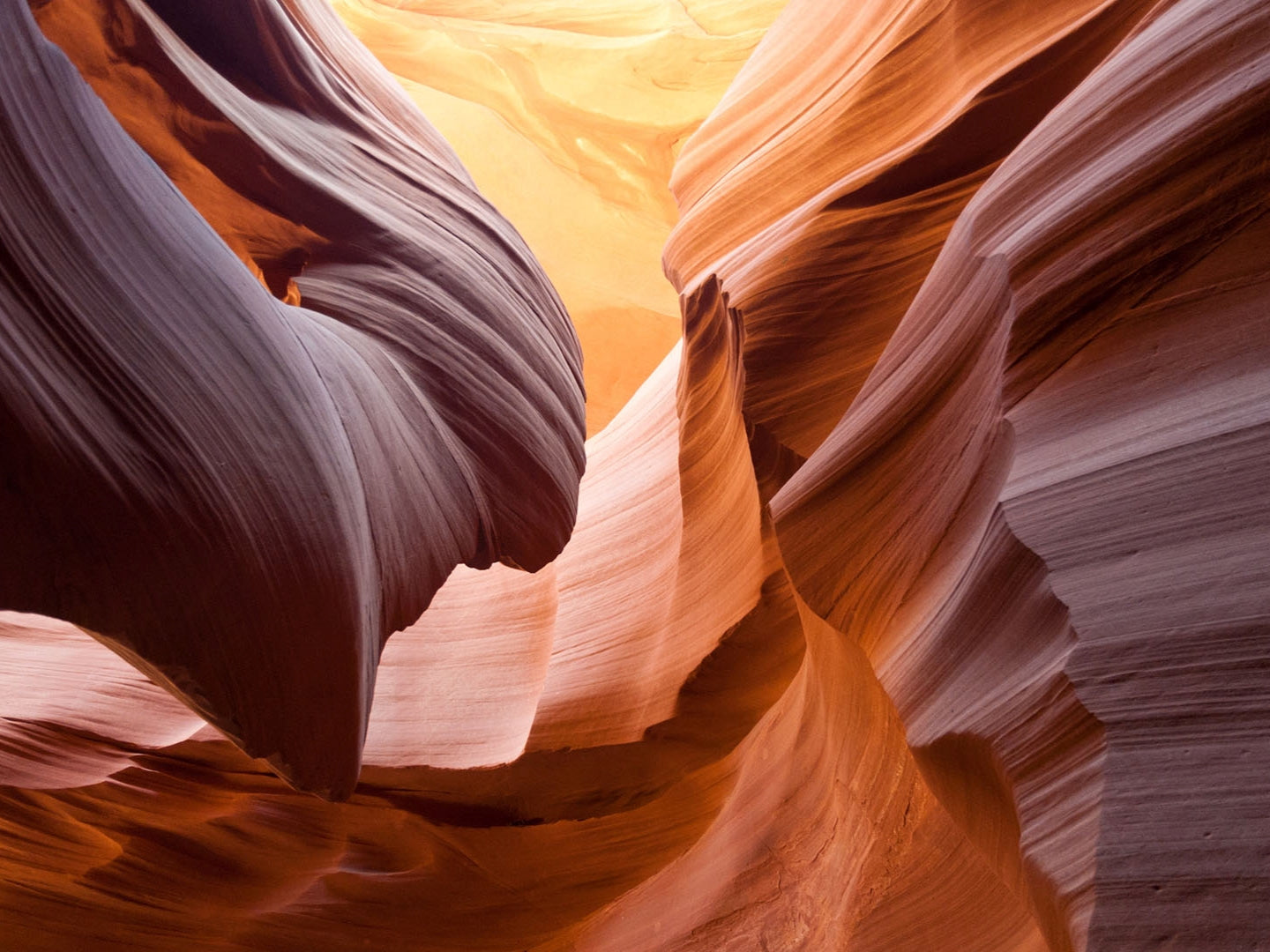 Ambiances Geology Science Decor