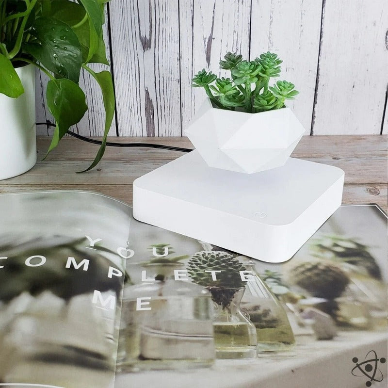Levitating Bonsai Pot Science Decor