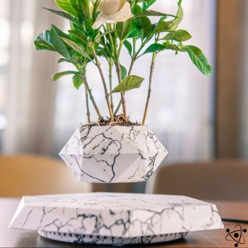Levitating Vase Science Decor