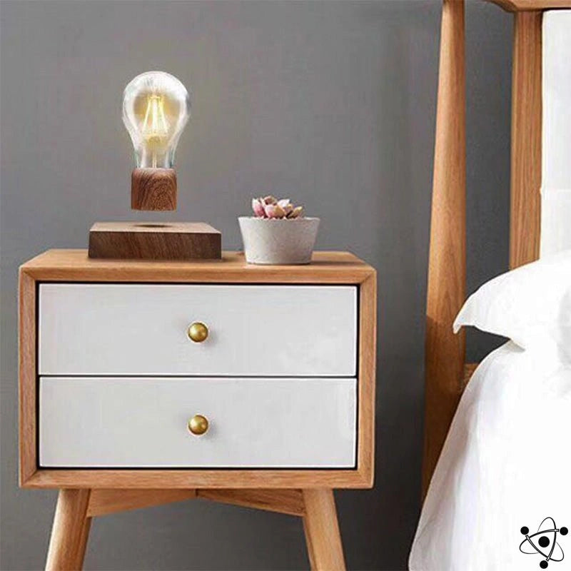 Magnetic Lamp Bulb Science Decor
