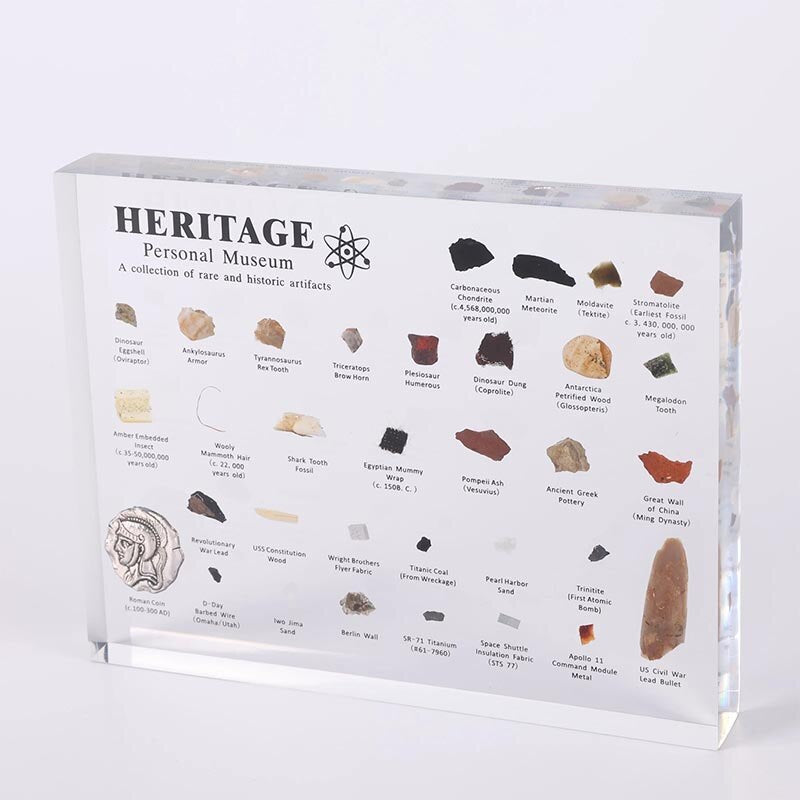 Periodic Table with Real Elements Heritage Science Decor
