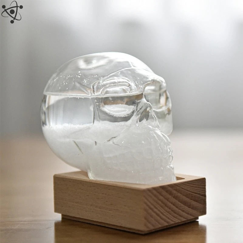 Storm Glass Death Skull Shape Science Decor