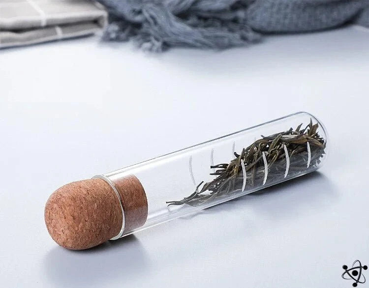 Test Tube Tea Infuser Science Decor