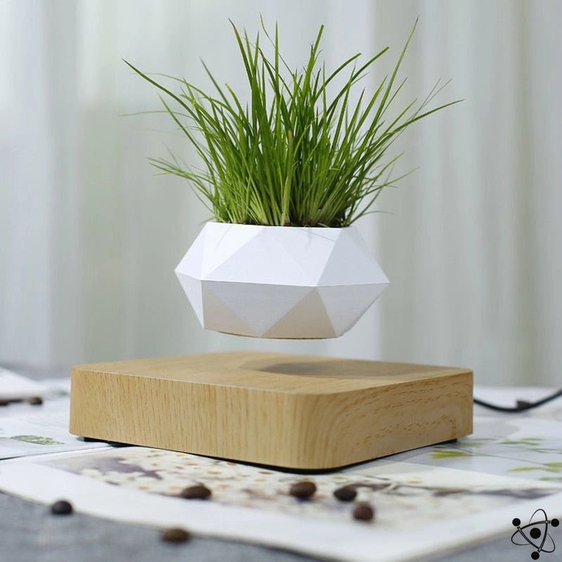 Wooden Levitating Vase Science Decor