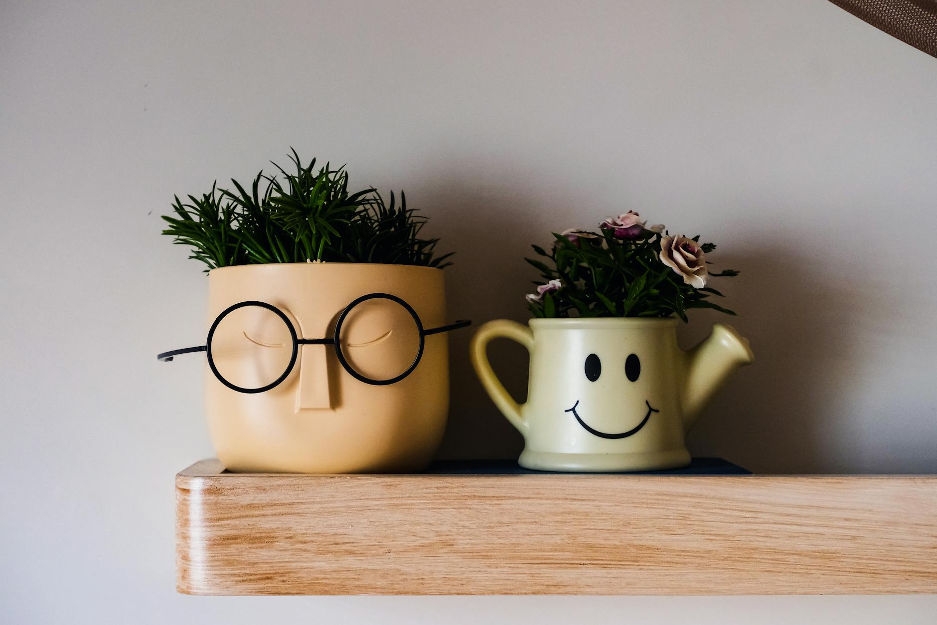 Levitating Plant Pot: The Science of Magnetic Decor
