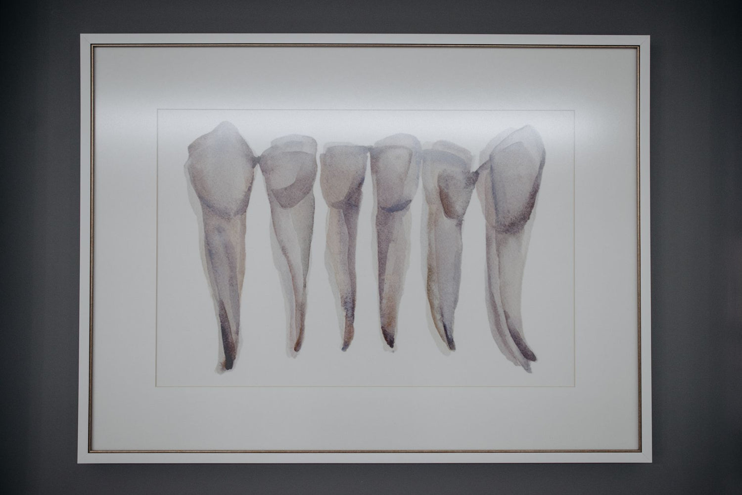 The History of Anatomy Wall Charts: Science Meets Art