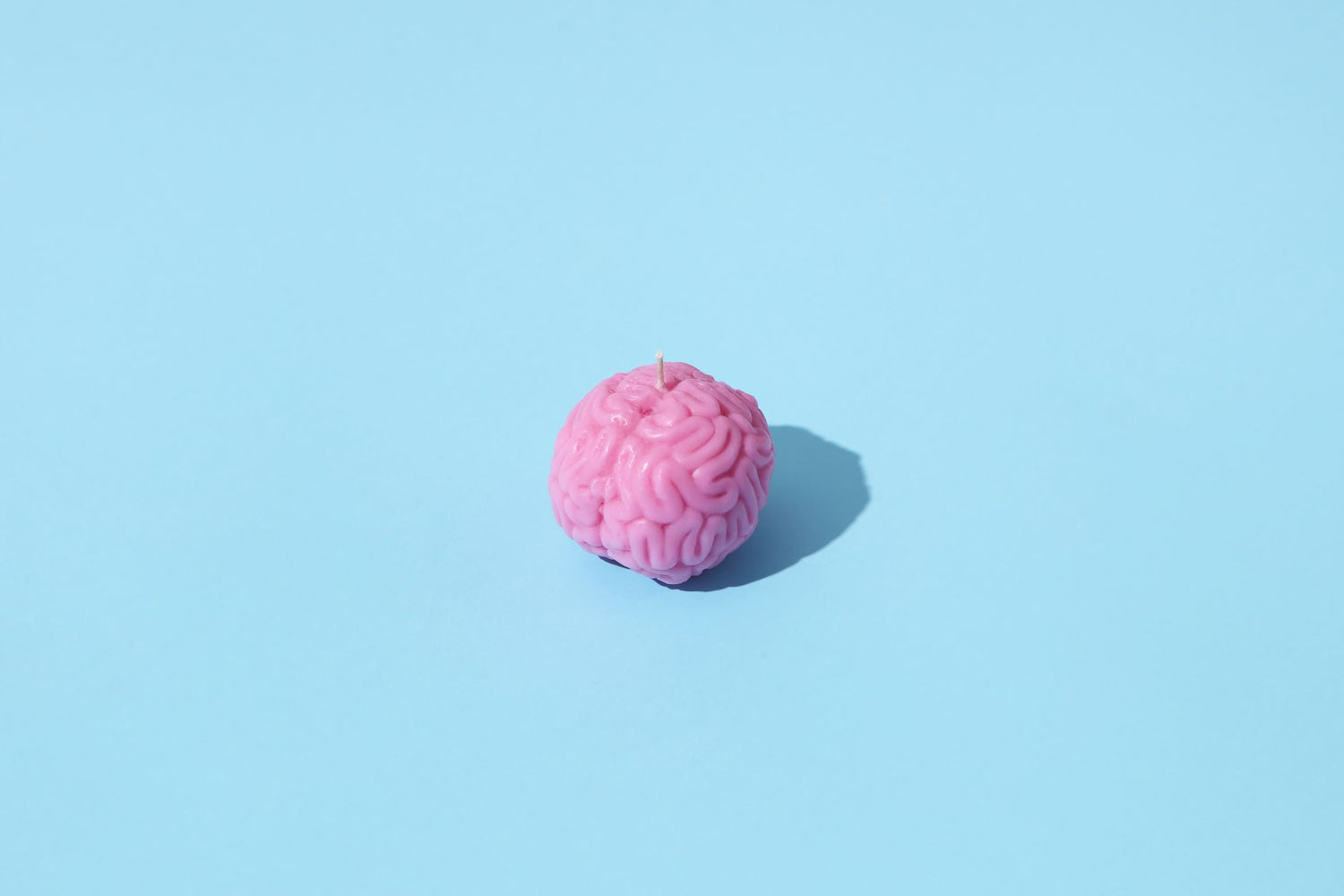 Brain Figurine: How to Decorate Your Home Office with Science