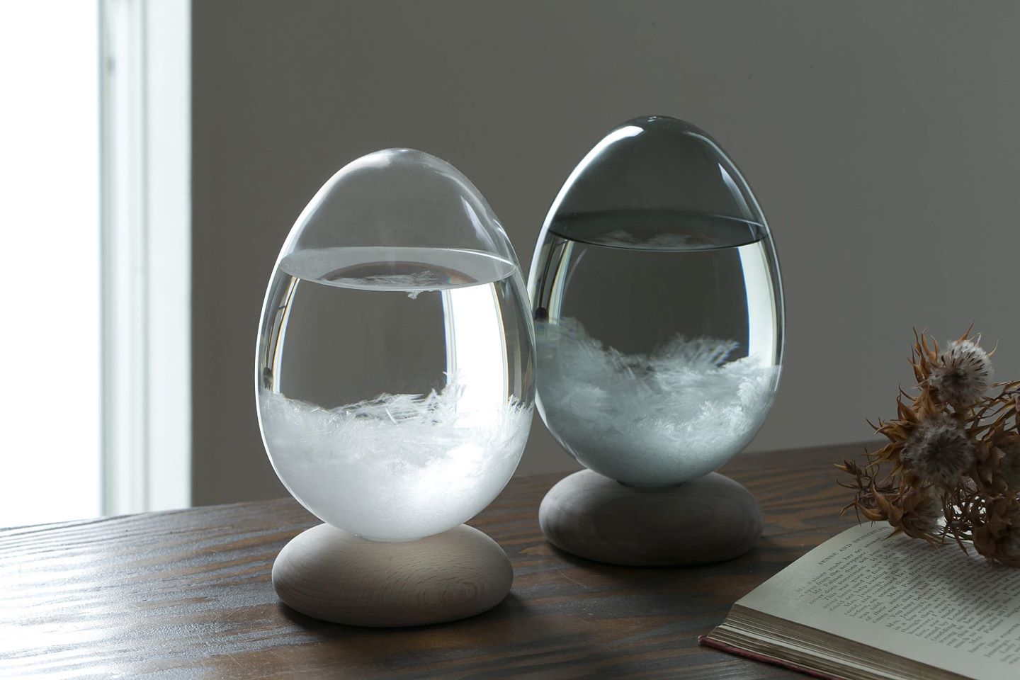 Storm Glass Science Decor