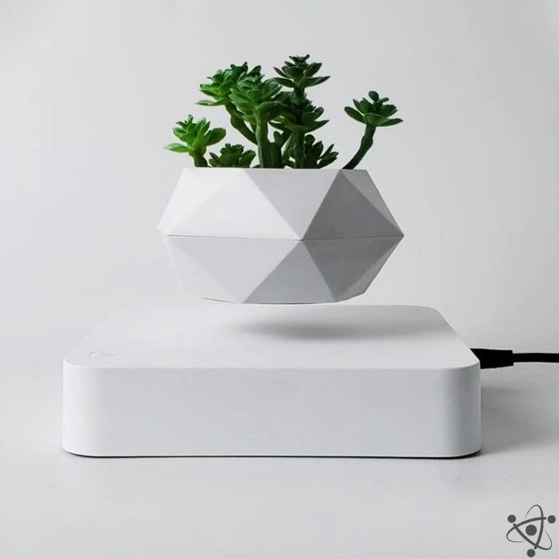 Levitating Bonsai Pot Science Decor