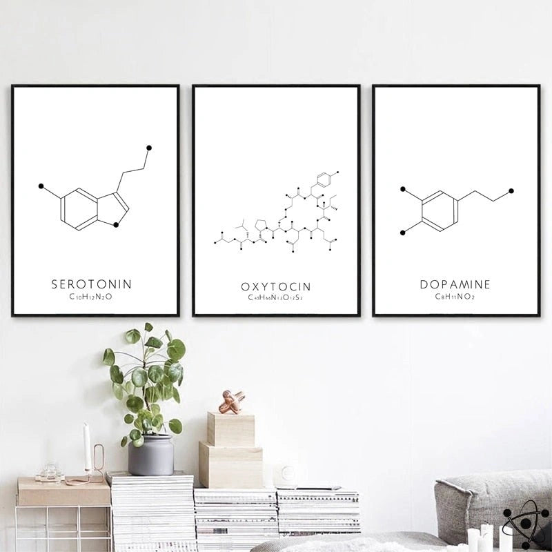 Molecular Structure Poster Science Decor