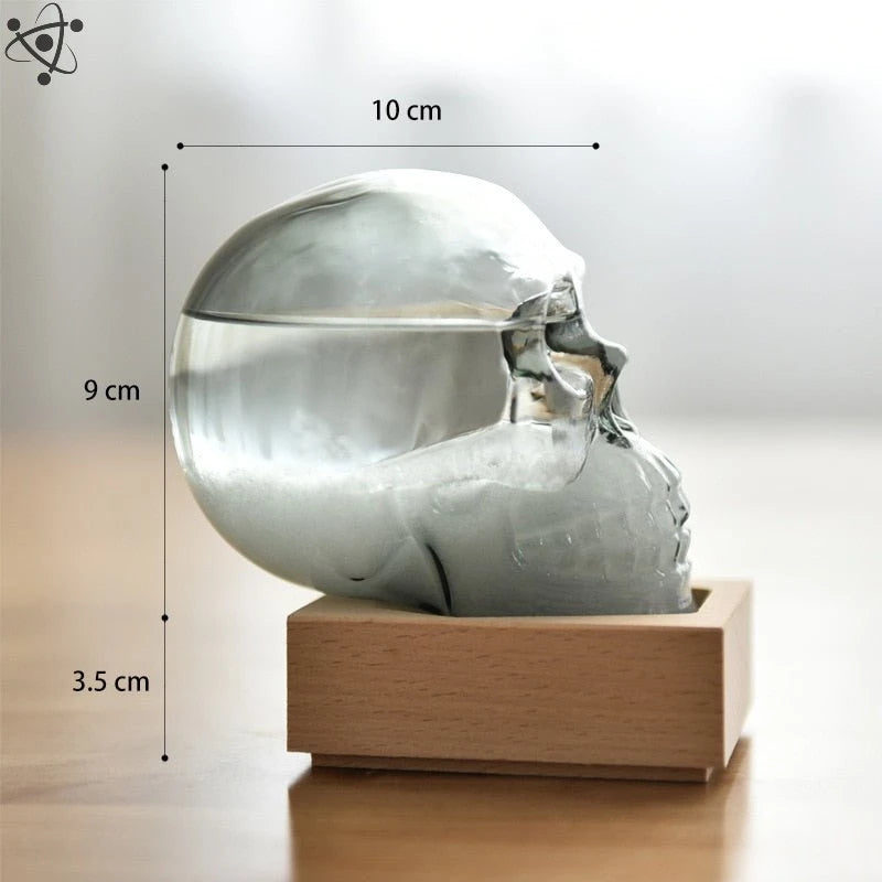 Storm Glass Death Skull Shape Science Decor