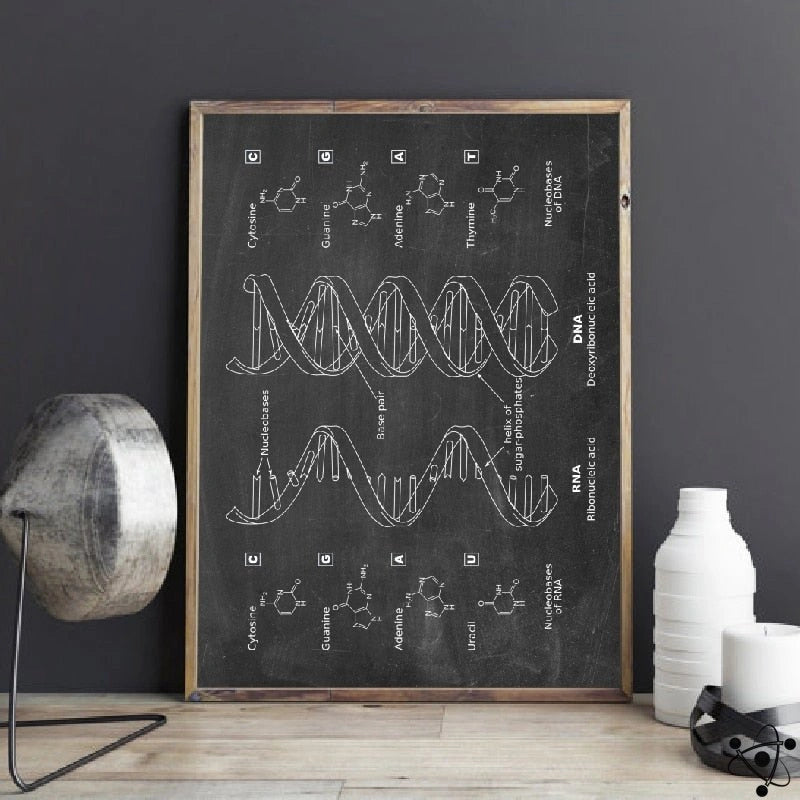 Vintage DNA Poster Science Decor