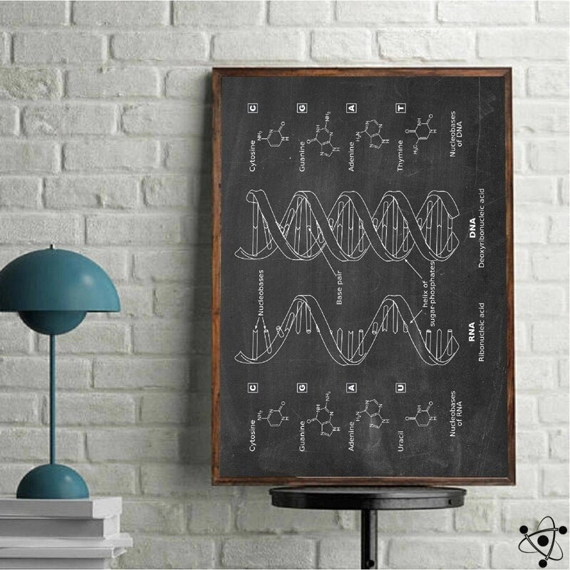 Vintage DNA Poster Science Decor